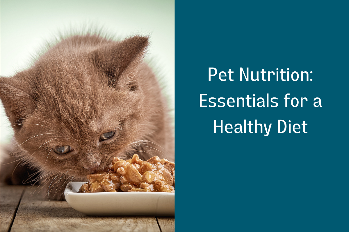Pet-Nutrition-Essentials-for-a-Healthy-Diet-4